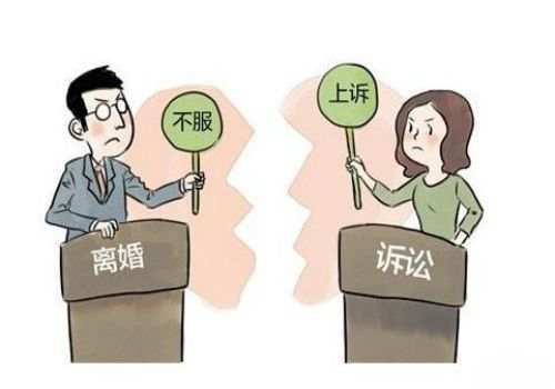 中山婚外情取证：侵占罪可以是共有财产吗